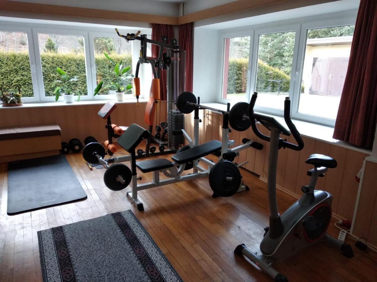 Appartement Haus Wiesenbaude à Bärenstein Extérieur photo